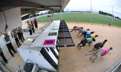 Heat affected meeting at Warragul