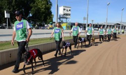 Warragul meeting transferred to night – 9 FEBRUARY