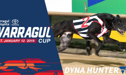 Saturday night’s Watchdog Tips Warragul Toyota Cup