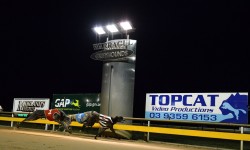 Friday night racing at Warragul