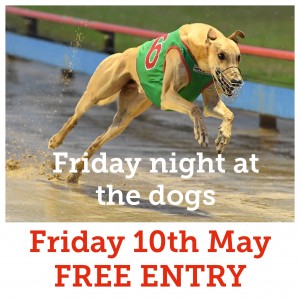 Friday night racing - FREE entry 