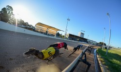 VIDEO: Race Caller Paul Hammon previews tonight’s Warragul Card on Sky Racing