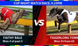 ‘Hot’ dogs spice up Warragul Cup night