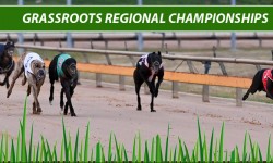 Grassroots Regional Championships set to go