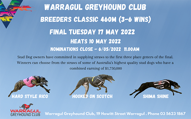 Breeders Classic_greyhound racing slider