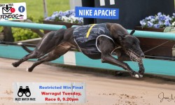 Daily Mail: Can ‘Nike’ do it at Warragul?