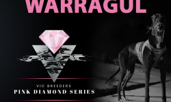 Warragul Pink Diamond Events