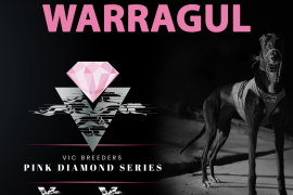 Warragul Pink Diamond Events