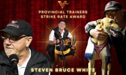 Victorian Provincial Trainer Strike Rate Award – Steven White