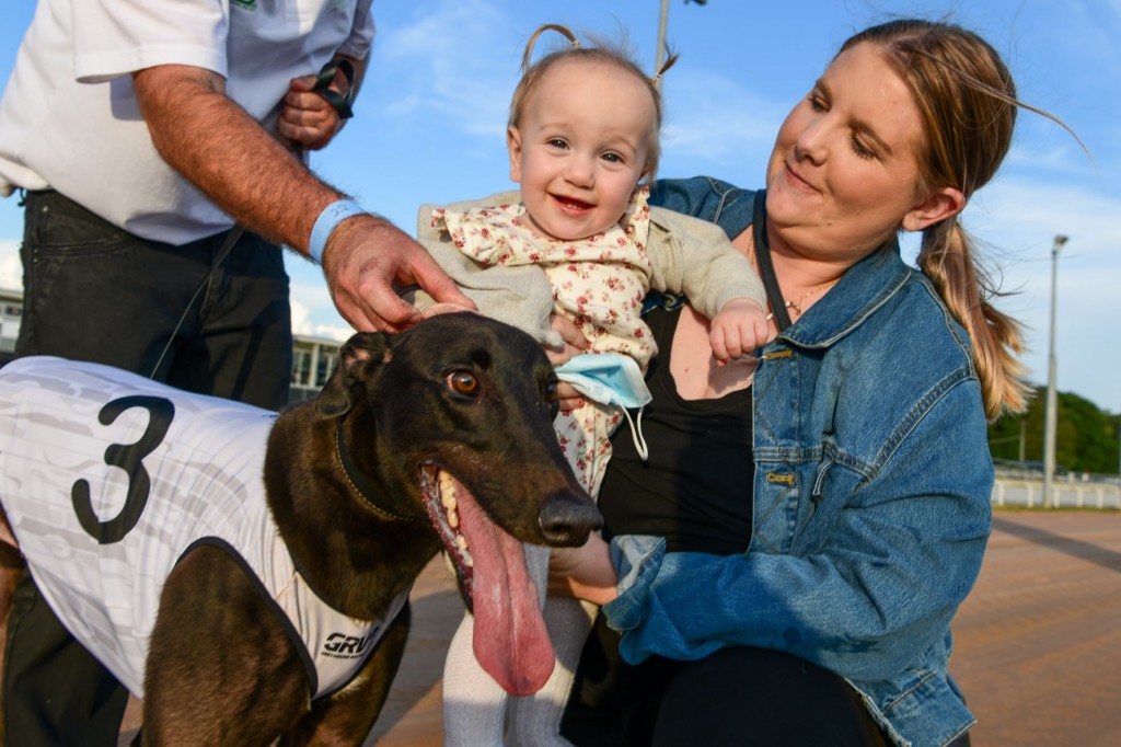 Gippsland Festival Warragul Cup | Warragul Greyhound Racing Club